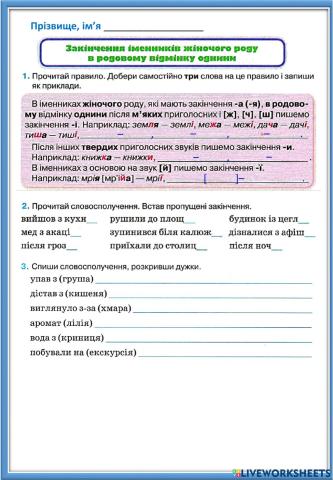 Закінчення іменників ж.р. в родовому відмінку однини