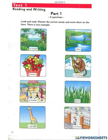 Movers 9- Test 1- Reading (P1)