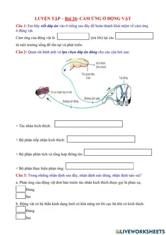 Cảm ứng ở động vật