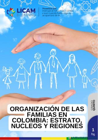 Organización de las familias en colombia: estrato, núcleos, regiones.