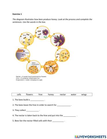 IE2, Unit 3, Writing, Exercise 1