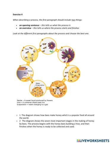 IE2, Unit 3, Writing, Exercise 4