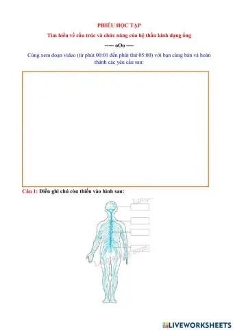 Cảm ứng ở động vật (TT)