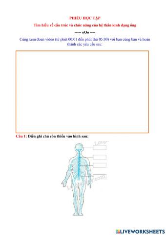 Cảm ứng ở động vật (TT)