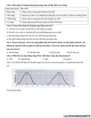 Bài 13: Chuyển hóa vatajj chất và năng lượng trong tế bào