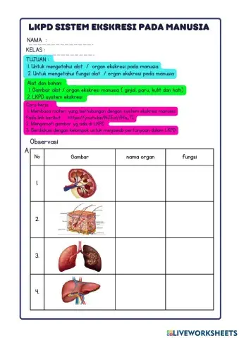 Lkpd sistem ekskresi