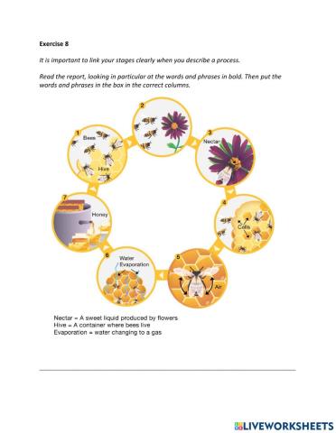 IE2, Unit 3, Writing, Exercise 8