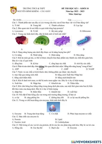 Kiểm tra học kì i - môn sinh lớp 10