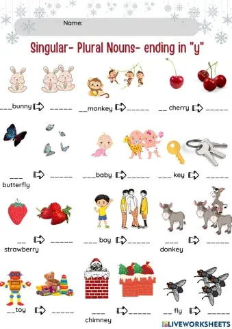 Singular -plural nouns- ending in y