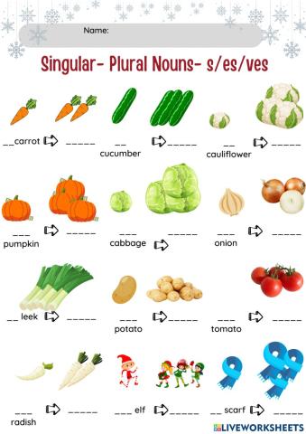Plurals nouns- s-es-ves