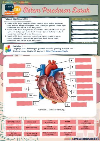 Sistem Peredaran Darah