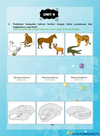 Tutor Sukses 2023 - 24 Sains Tahun 3-Unit 4
