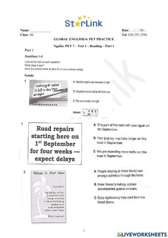 S6-winter break-pet practice-p1