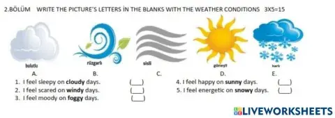 6 1.dönem 2.yazili 2.bölüm