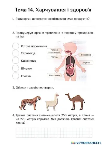 Діагностувальна робота 3 ЯДС