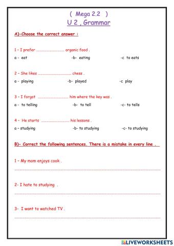 MG2.2 U 2 L3 Grammar