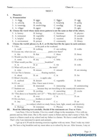 Revision for the first semester - Test 3 - Grade 6