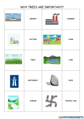 Why are trees important