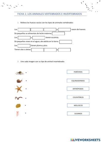 ANIMALES VERTEBRADOS E INVERTEBRADOS