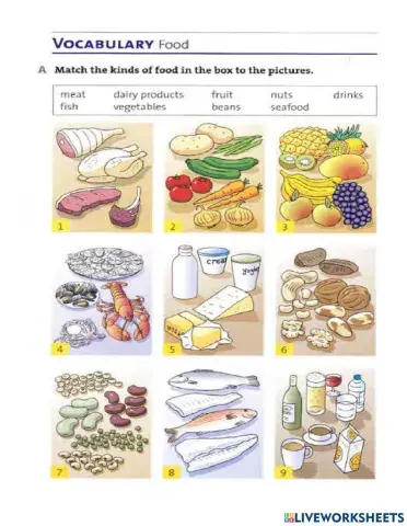 Unit 11 - Outcomes - Food