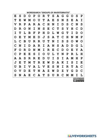 Groups of invertebrates