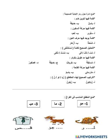 ورقة عمل تفاعلية للغة العربية