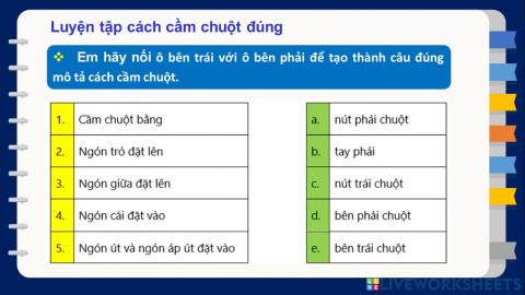 Luyện tạp cầm chuột