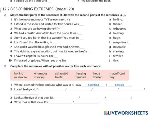 Descriptive vocabulary