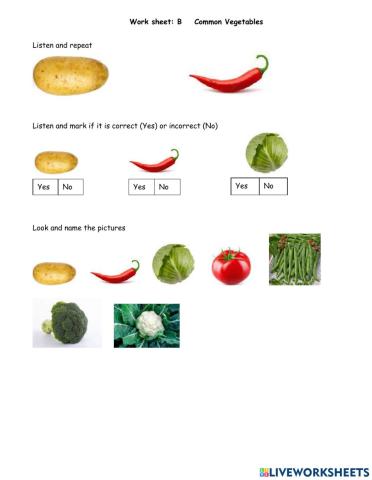 Common Vegetables