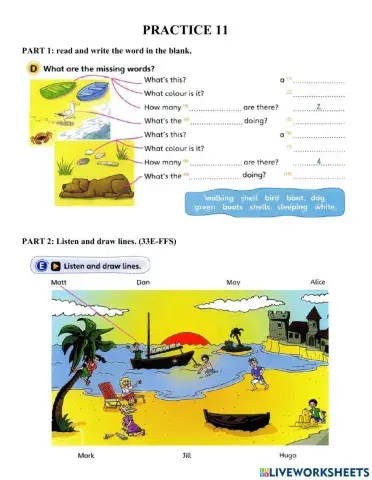 Starters-Practice 11