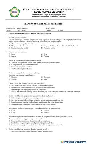 Sas bahasa indonesia