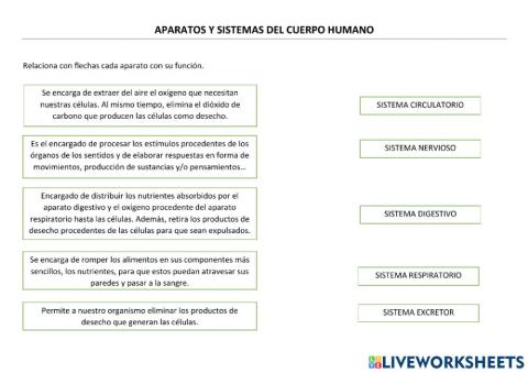 Aparatos del Cuerpo Humano