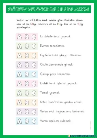 Görev Ve Sorumluluklarım