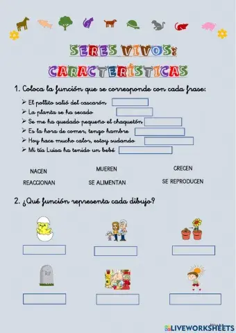 Seres vivos: características