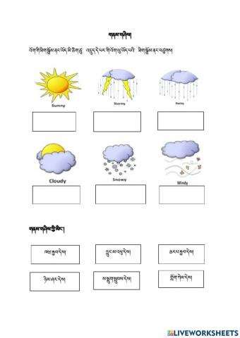 grade 4 worksheet on weather Weather