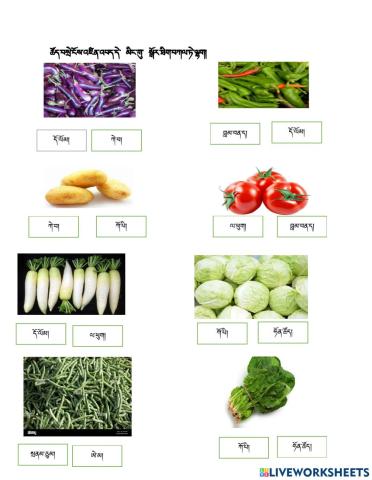 Image of vegetables and name