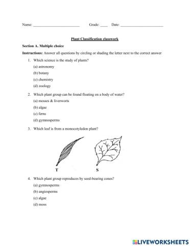 Plant Classification Review