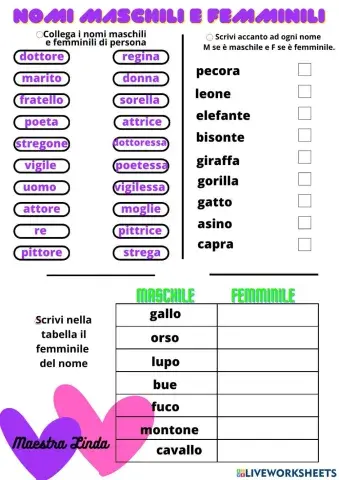 Maschili e femminili