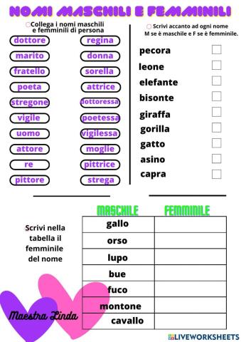 Maschili e femminili