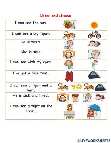 S T What can you see? What can you do