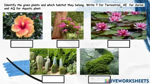 Terrestrial, Aerial, & Aquatic Plant