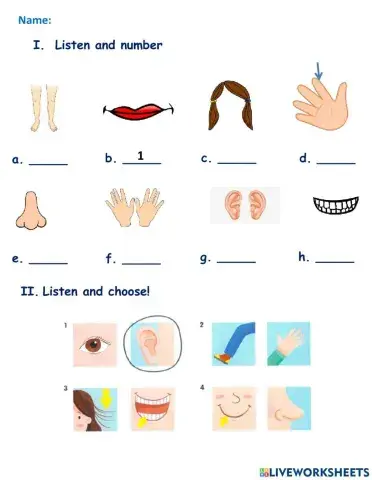 Everybody Up 1 - Lesson 2