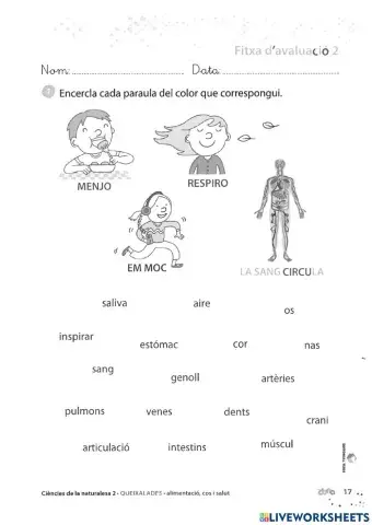 Els aparells del Cos