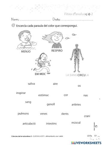 Els aparells del Cos