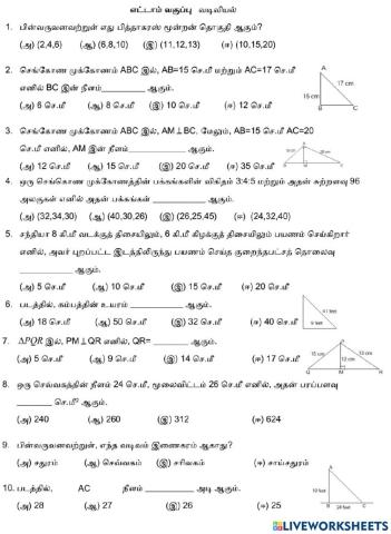 பிதாகரஸ் தேற்றம்