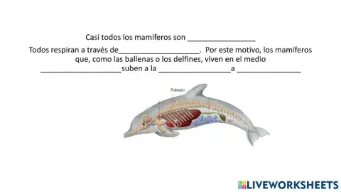 Ballenas o delfines
