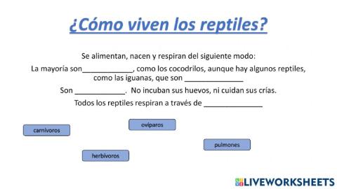 ¿cómo viven los reptiles?