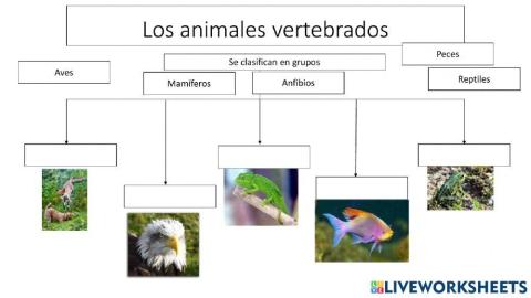 Los animales vertebrados