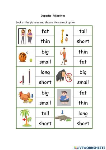 Opposite adjectives 1