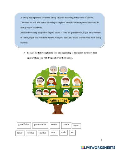 Drag and drop - Family Members